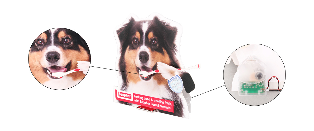 定制狗形PVC和PETG太陽(yáng)能兒童牙刷展示架 工廠直銷(xiāo)